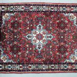 1016 6209 ORIENTAL RUG